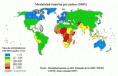 /album/fotogaleria/maternal-mortality-map-es-gif/